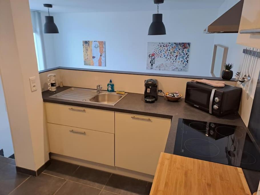 Bel Appartement Grande Terrasse Avec Parking A Дижон Экстерьер фото